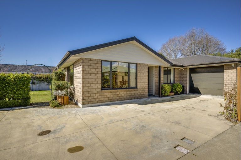 Photo of property in 307b Windsor Avenue, Parkvale, Hastings, 4122