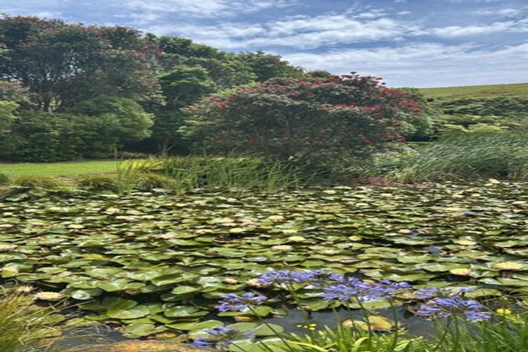 Photo of property in 20 Washer Road, Omata, New Plymouth, 4374