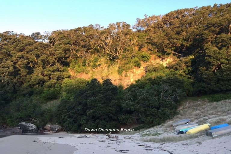 Photo of property in 109 Russell Bruce Place, Onemana, Whangamata, 3691