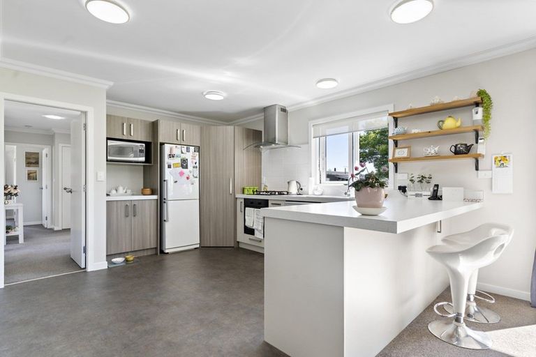 Photo of property in 57 Daniell Street, Solway, Masterton, 5810