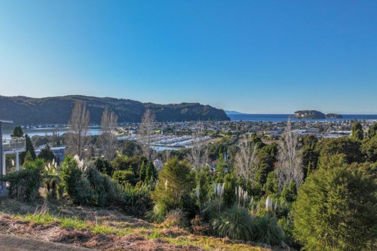 Photo of property in 113 Te Pamahue Drive, Whangamata, 3620