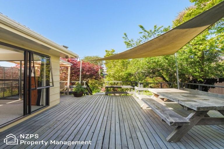 Photo of property in 17 Napier Street, Belleknowes, Dunedin, 9011