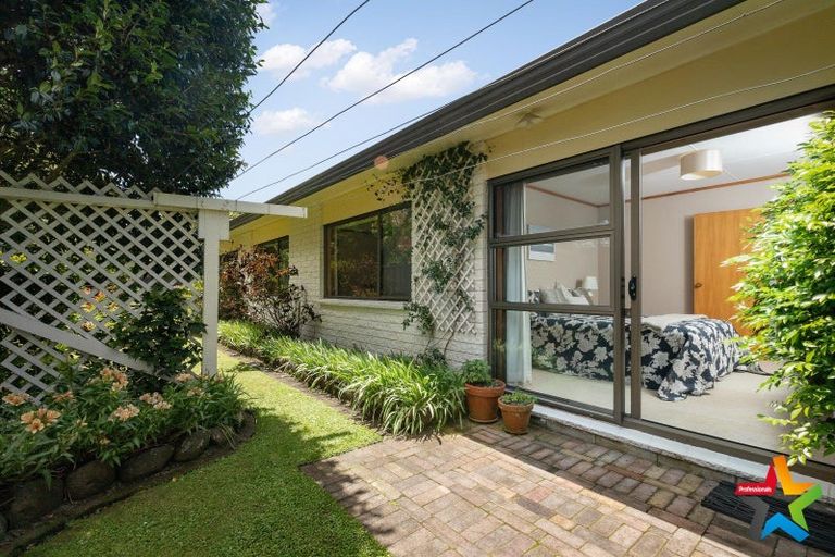 Photo of property in 60 Parry Palm Avenue, Waihi, 3610
