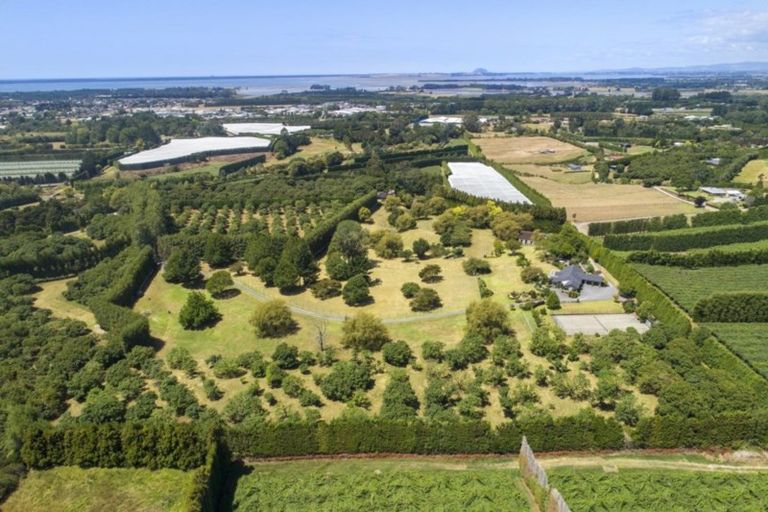 Photo of property in 58c Rawaka Drive, Katikati, 3129