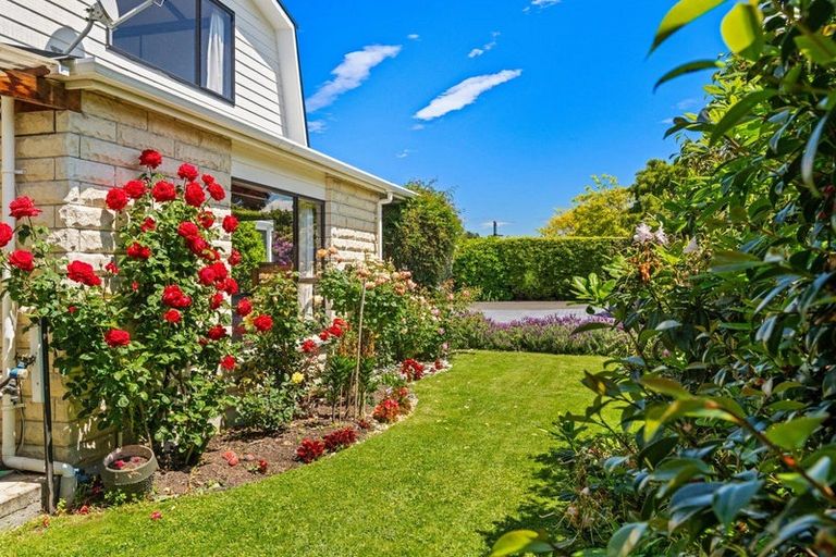 Photo of property in 141 Old Renwick Road, Springlands, Blenheim, 7272