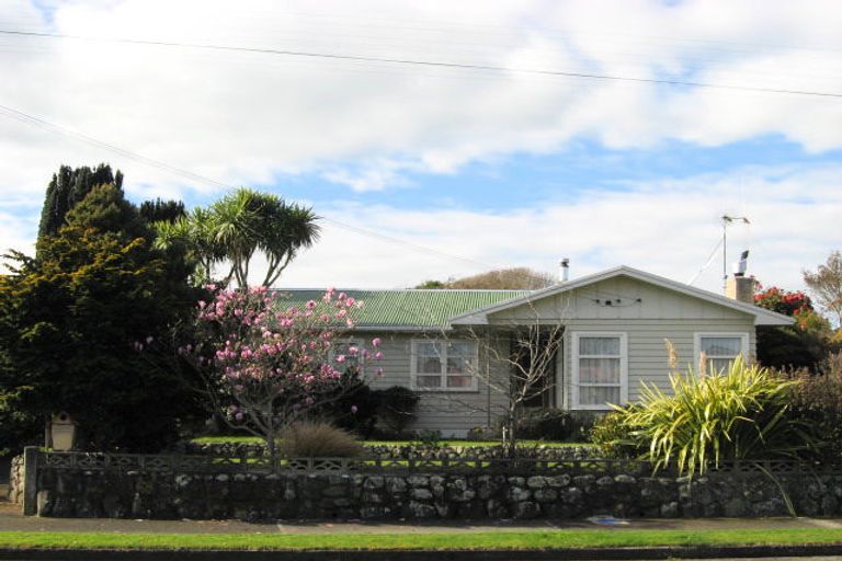 Photo of property in 21 Highbury Drive, Levin, 5510