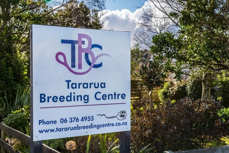 Photo of property in 80541 Masterton Road, Woodville, 4999