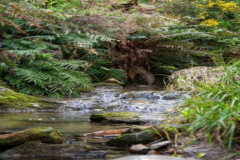 Photo of property in 52 Dons Creek Road, Waitati, 9085