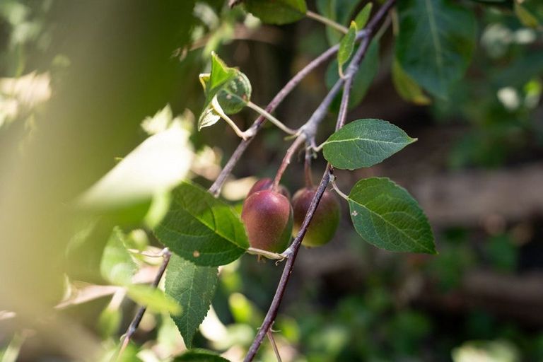 Photo of property in 166 Owen Street, Newtown, Wellington, 6021