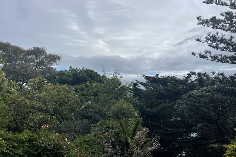 Photo of property in 24 Beacon Hill Road, Strathmore Park, Wellington, 6022