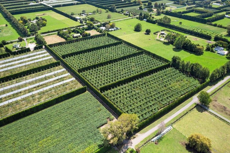 Photo of property in 121 Macdonald Road, Te Teko, Whakatane, 3192