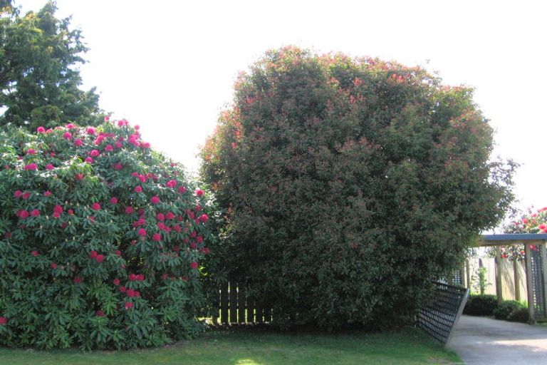 Photo of property in 21 Upland Road, Western Heights, Rotorua, 3015