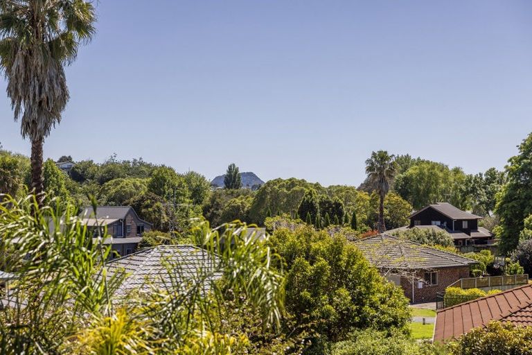 Photo of property in 43 Sutherland Road, Brookfield, Tauranga, 3110