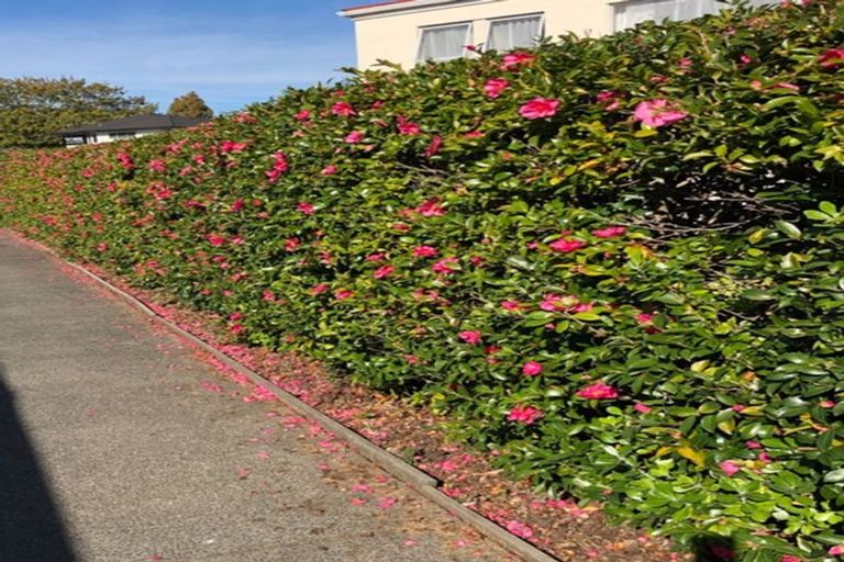 Photo of property in 7b May Street, Hamilton East, Hamilton, 3216