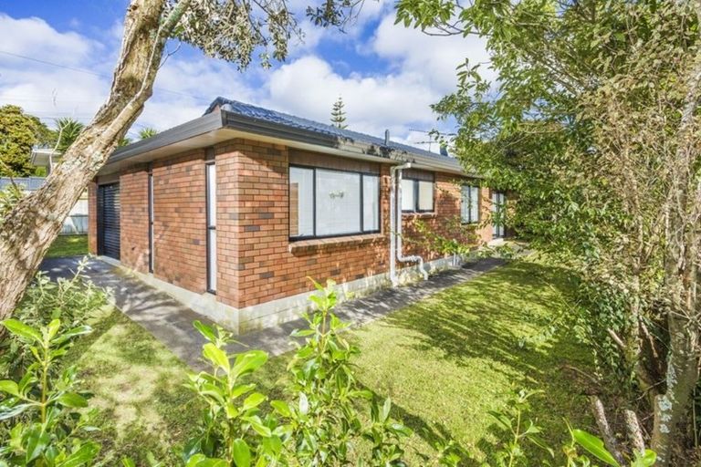 Photo of property in 60a Tiroroa Avenue, Te Atatu South, Auckland, 0610