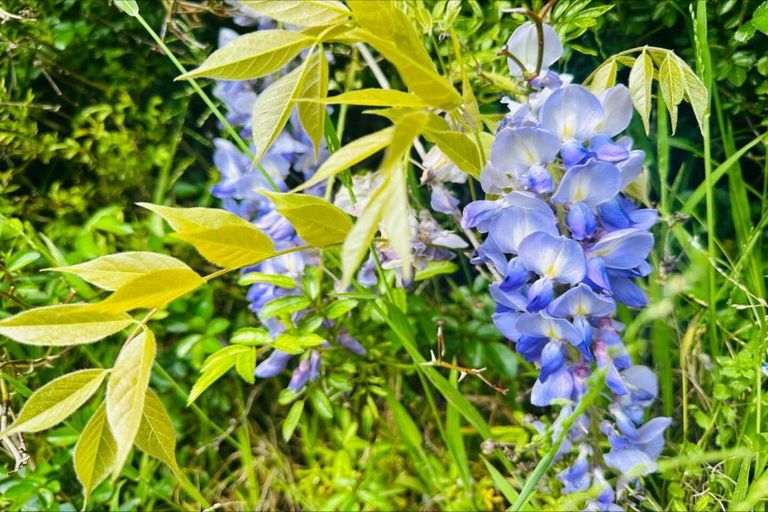 Photo of property in 16a Gladstone Road, Waihi, 3610