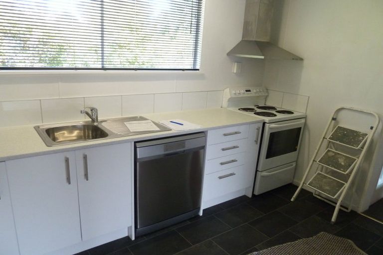 Photo of property in 321 Albert Street, Hokowhitu, Palmerston North, 4410