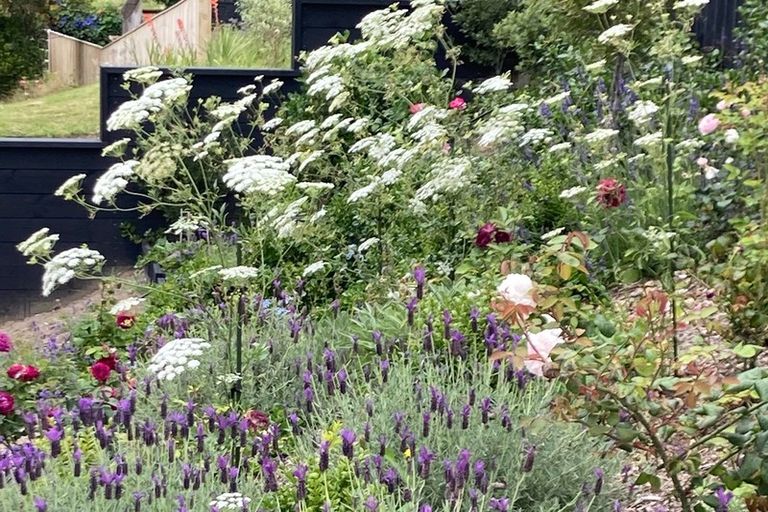 Photo of property in 58 Ames Street, Paekakariki, 5034