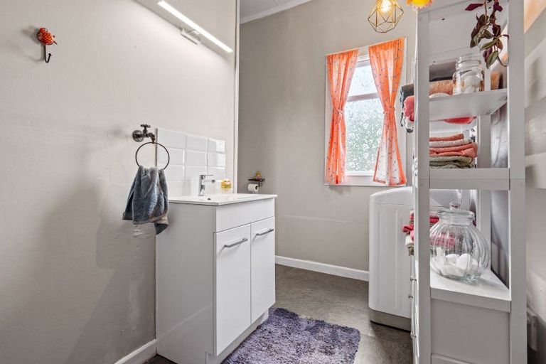 Photo of property in 17 Whitehaven Street, Lawrence, 9532