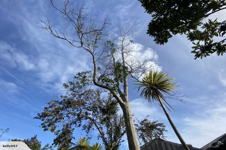 Photo of property in 16 Kakapo Place, Papatoetoe, Auckland, 2025