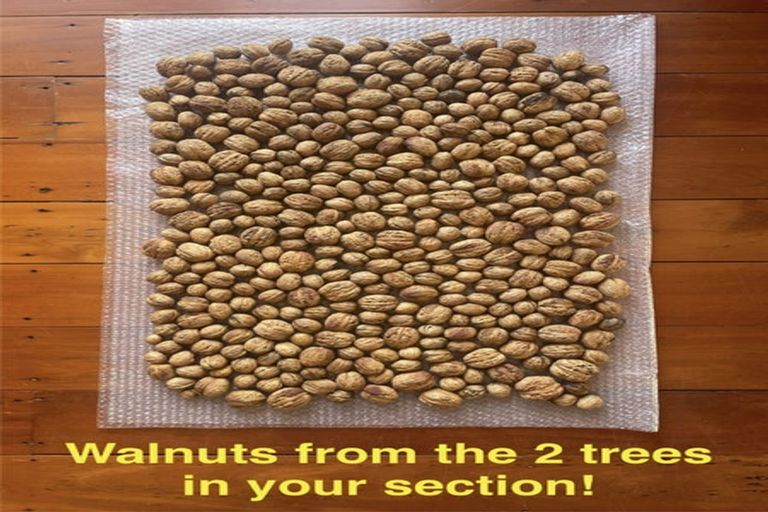 Photo of property in 161 Hautapu Street, Taihape, 4720