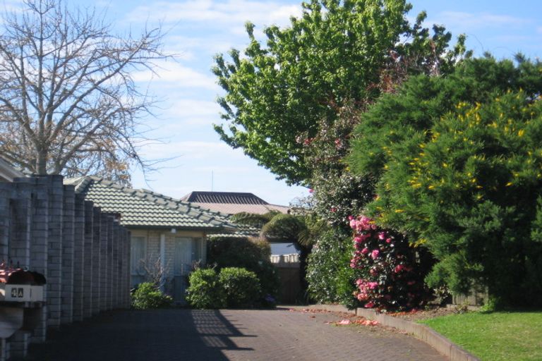 Photo of property in 4c Tekoah Place, Judea, Tauranga, 3110