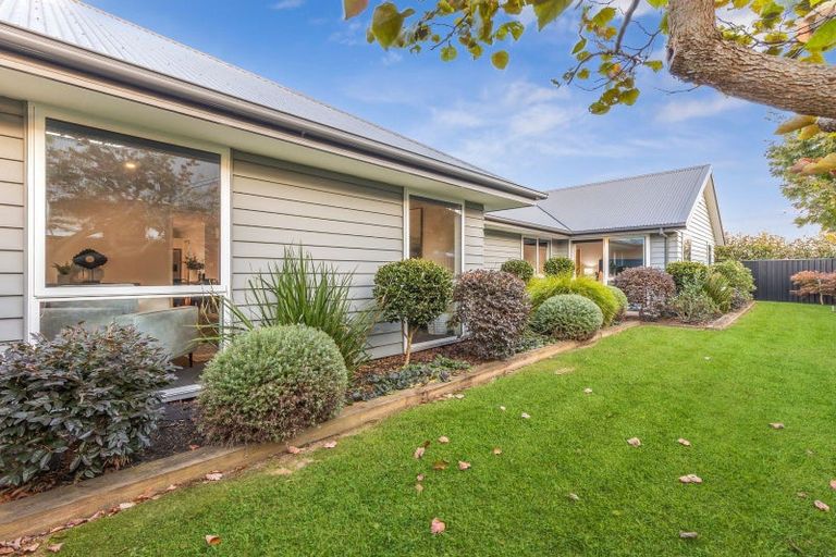 Photo of property in 48 Norfolk Drive, Cambridge, 3434