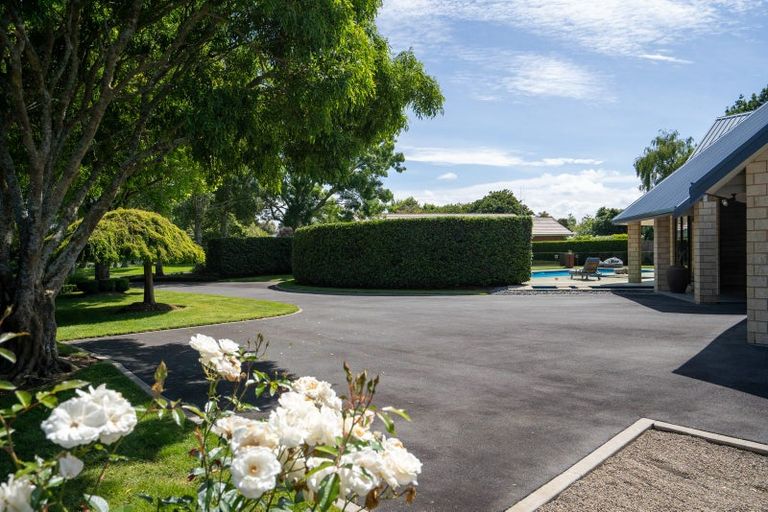 Photo of property in 5 Curnow Place, Leamington, Cambridge, 3432