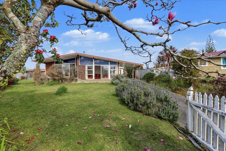 Photo of property in 24 Donovan Street, Te Puke, 3119