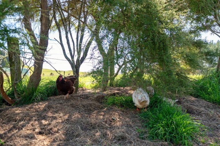 Photo of property in 691 Te Waerenga Road, Hamurana, Rotorua, 3096