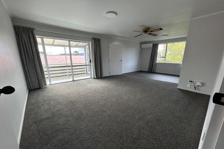 Photo of property in 51 Dillon Street, Blenheim, 7201