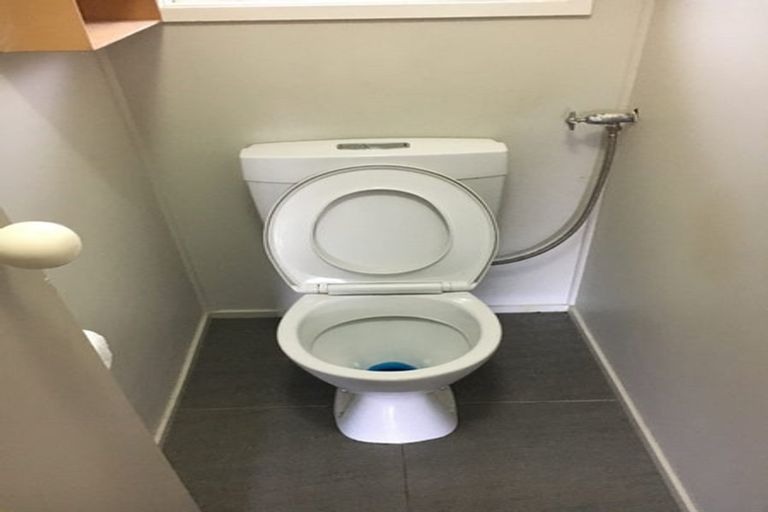 Photo of property in 39 Zita Maria Drive, Massey, Auckland, 0614