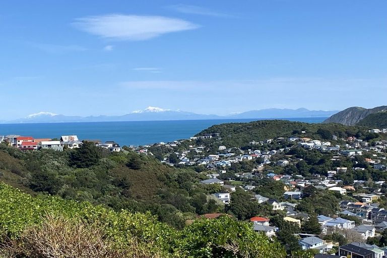 Photo of property in 111 Buckley Road, Southgate, Wellington, 6023