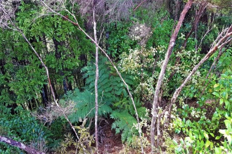 Photo of property in 243 Wright Road, Dairy Flat, Albany, 0794