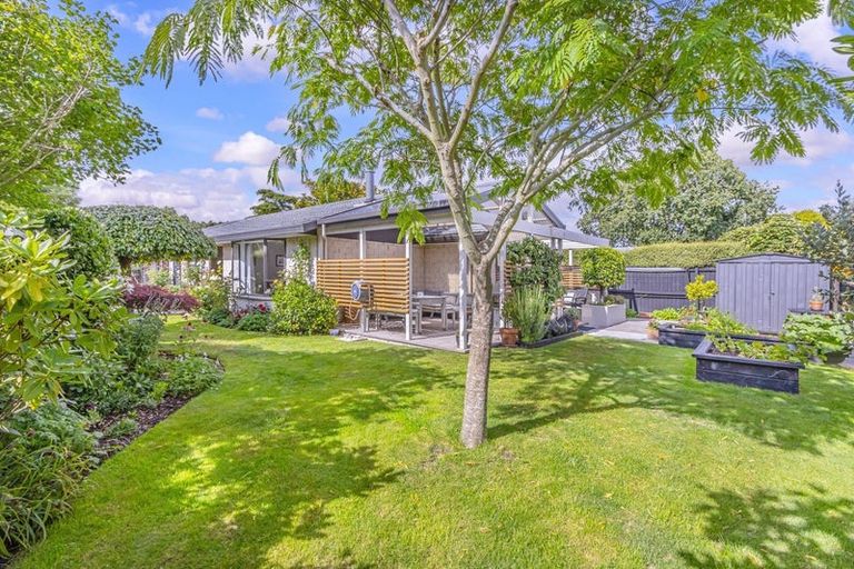 Photo of property in 17 Todd Avenue, Bishopdale, Christchurch, 8051