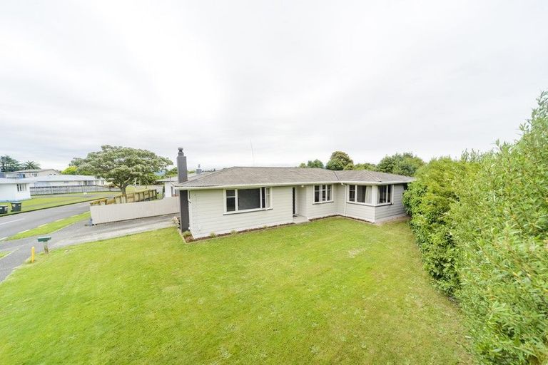 Photo of property in 128 Limbrick Street, Terrace End, Palmerston North, 4410