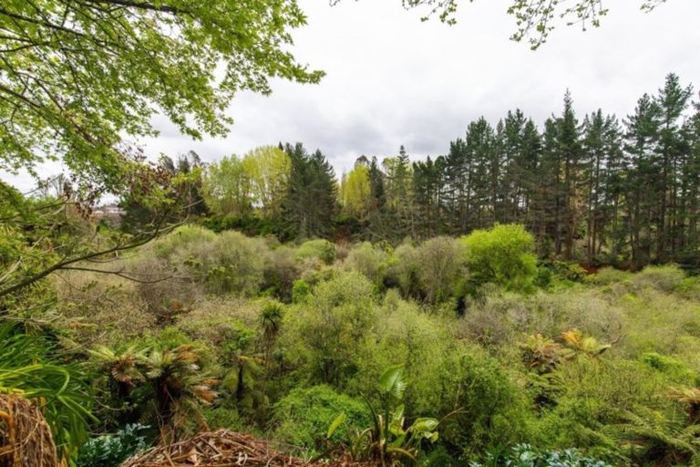 Photo of property in 140a Woodcock Road, Tamahere, Hamilton, 3283