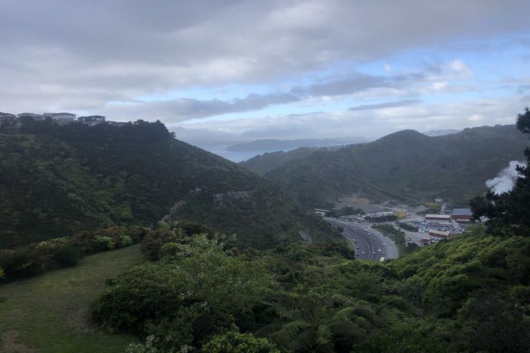 Photo of property in 29 Kitchener Terrace, Johnsonville, Wellington, 6037