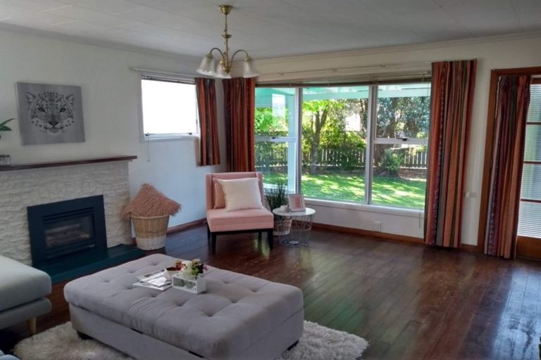 Photo of property in 156 Tiro Tiro Road, Levin, 5510