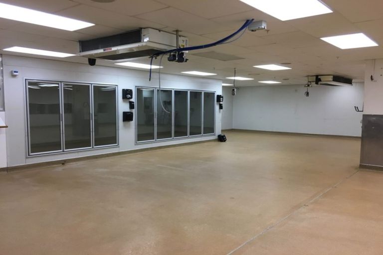 Photo of property in The Lofts, 1/185 Victoria Street, Te Aro, Wellington, 6011