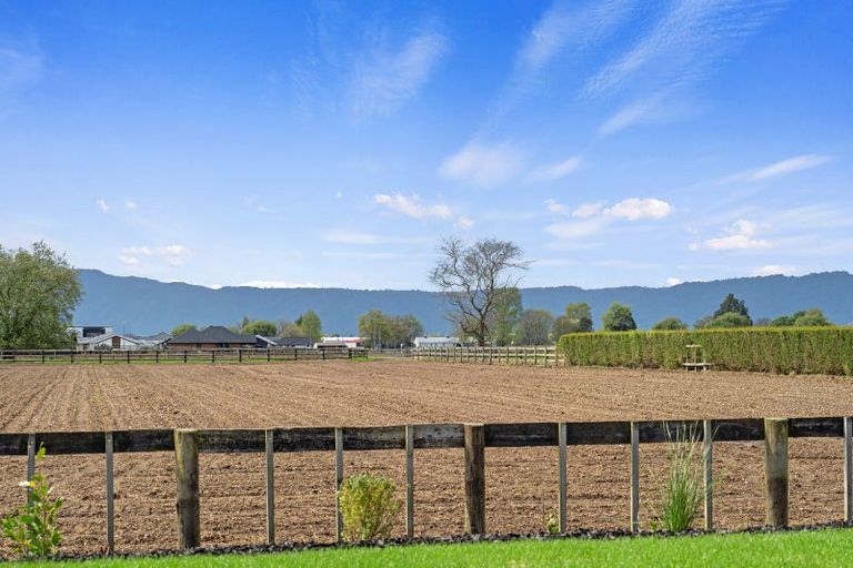 Photo of property in 45 Rangitihi Street, Matamata, 3400