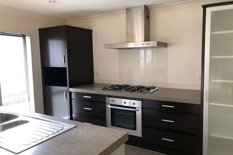 Photo of property in 55 Skelligs Drive, Flat Bush, Auckland, 2019