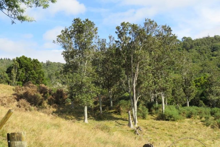 Photo of property in 260a Willoughby Road, Tahawai, Katikati, 3170