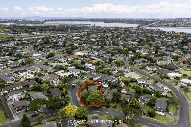 Photo of property in 55 Ray Small Drive, Pahurehure, Papakura, 2113