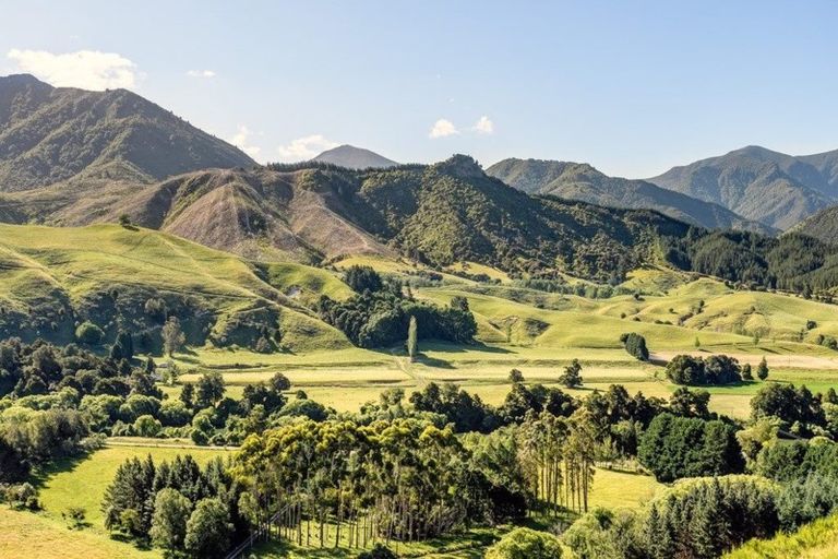 Photo of property in 1923 Motueka Valley Highway, Ngatimoti, Motueka, 7196