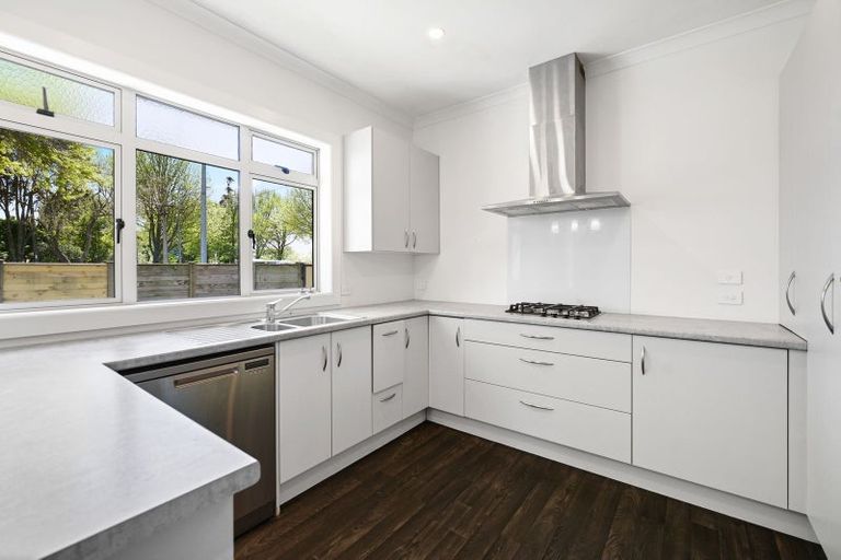 Photo of property in 111 Galloway Street, Hamilton East, Hamilton, 3216