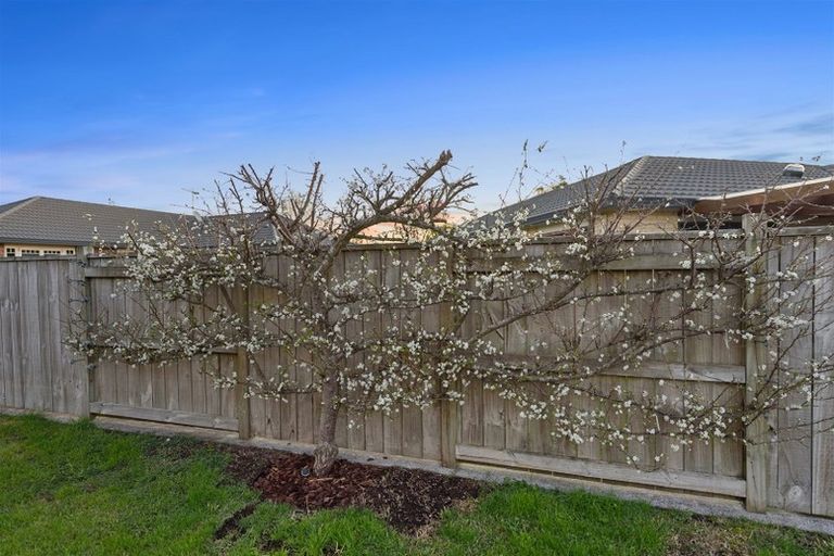 Photo of property in 40a Cairns Crescent, Rototuna, Hamilton, 3210