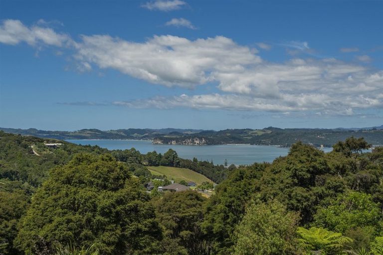 Photo of property in 49 Tarapatiki Drive, Whitianga, 3510
