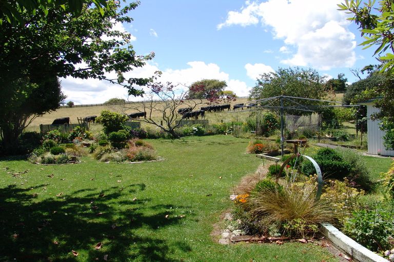Photo of property in 558 Picquet Hill Road, Te Awamutu, 3800