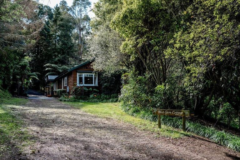 Photo of property in 145 Wairoa Road, Minden, Tauranga, 3171